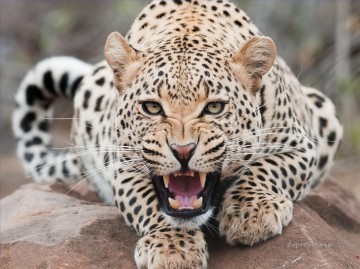  leopard kunst - Leopard 26
